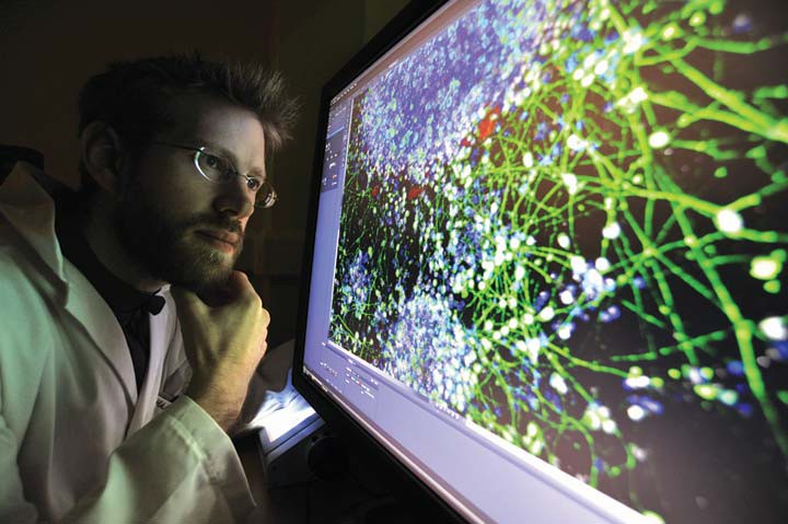 Research with Eurolife