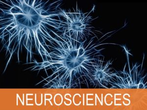 Neuro front