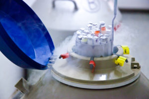 Resolution. Short-term Eurolife Research Exchanges. 1st round.