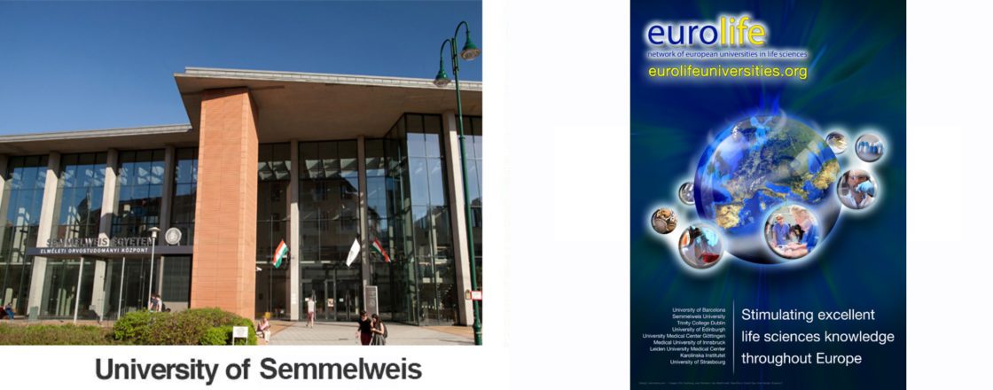 semmelweis+poster