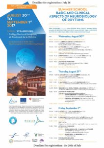 Summer schools from Eurolife institutions in 2017