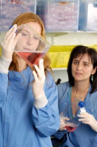 Eurolife Scholarship Programme for Early Career Researchers