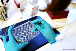 RESULTS – 3rd Call for Short-term Eurolife Research Exchanges